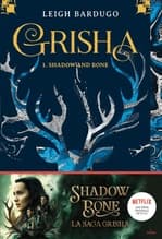 Couverture française de Shadow and Bone de Leigh Bardugo
